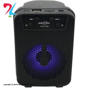 اسپیکر گریت نایس مدل GTS 1345