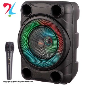 اسپیکر زد کیو اس مدل ZQS 8148