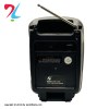 اسپیکر رادیویی قابل حمل مدل KTF-1420-مسی